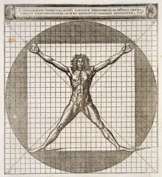 Ideale verhoudingen gebaseerd op het menselijk lichaam, uit 